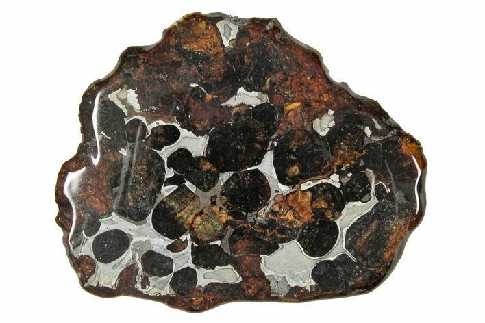 Sericho Pallasite Meteorite ( g) Slice - Kenya #335754